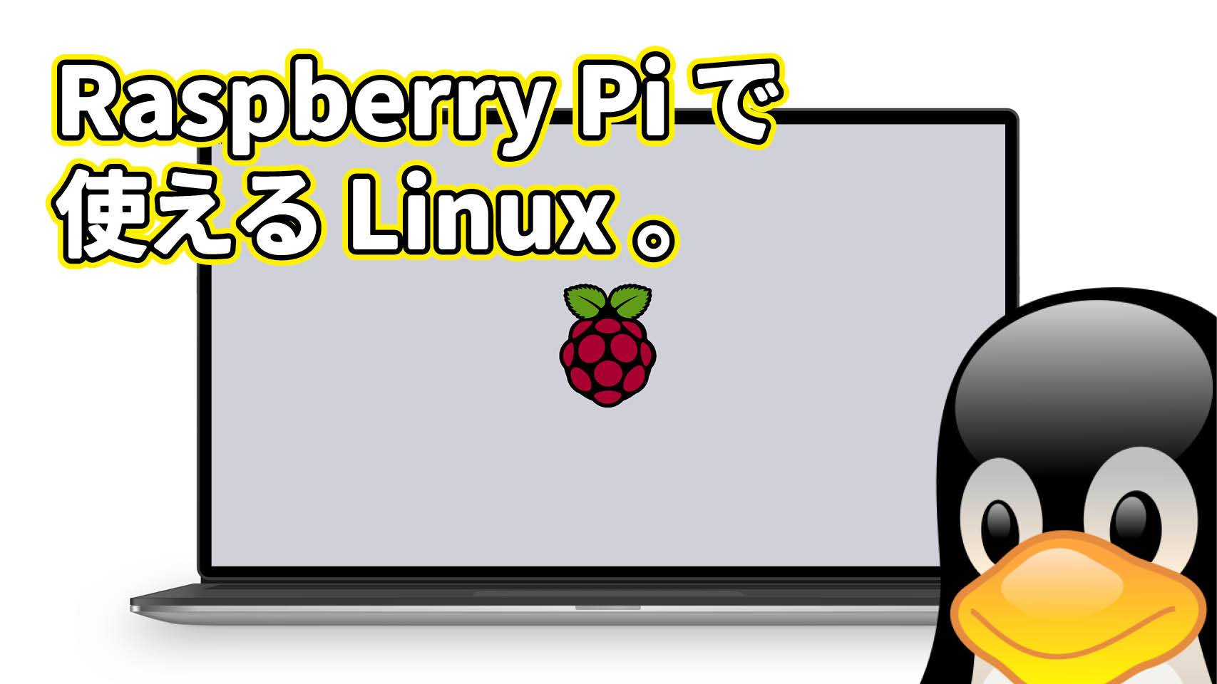 Raspberry Pi で使える Linux